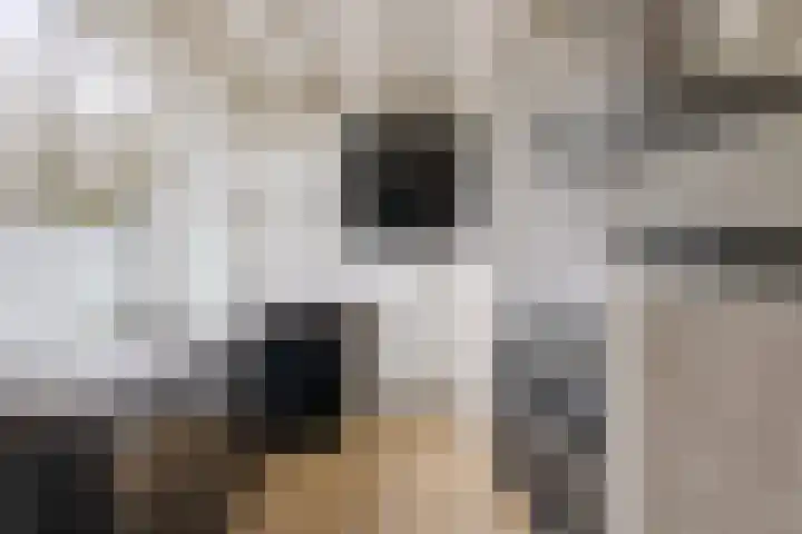 Hoogkamp 70 Eibergen thumbnail 10