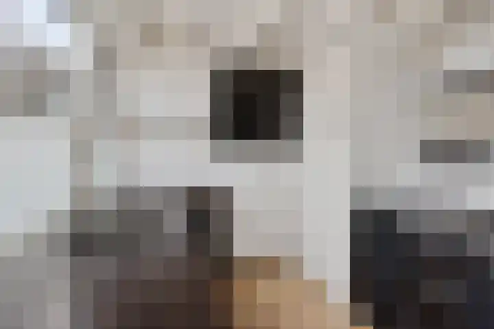 Hoogkamp 70 Eibergen thumbnail 12