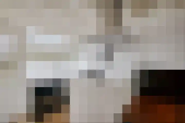 Hoogkamp 70 Eibergen thumbnail 16