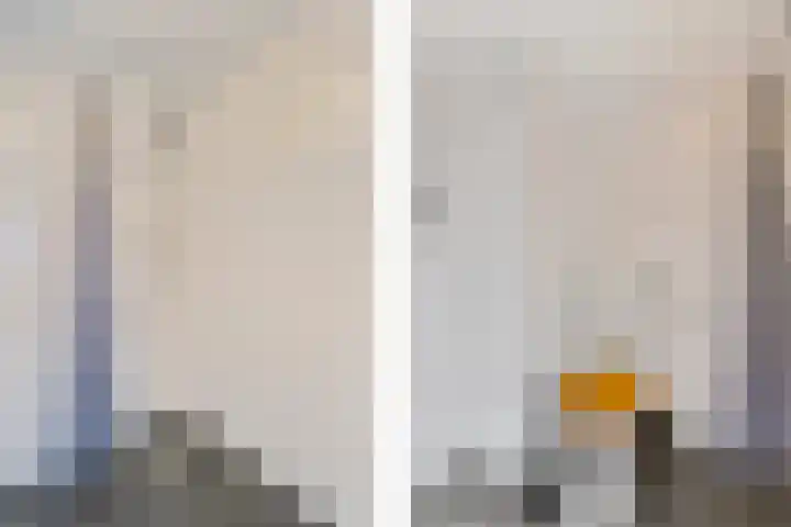 Hoogkamp 70 Eibergen thumbnail 17