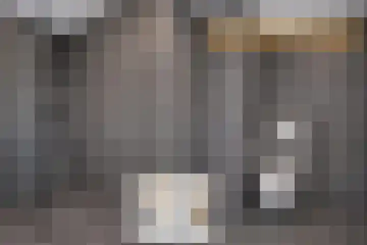 Hoogkamp 70 Eibergen thumbnail 18