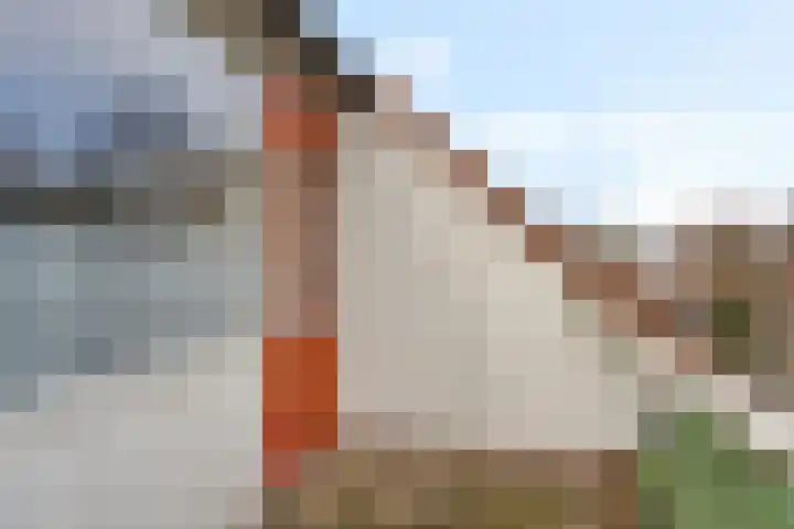Hoogkamp 70 Eibergen thumbnail 19