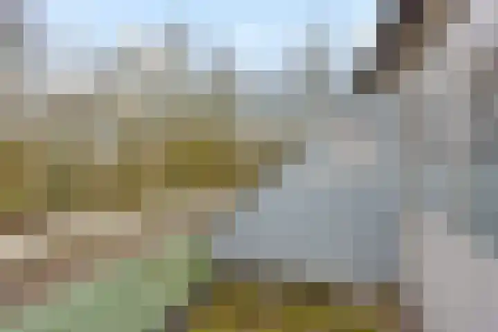 Hoogkamp 70 Eibergen thumbnail 20