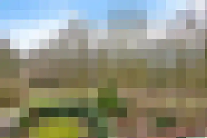 Hoogkamp 70 Eibergen thumbnail 21