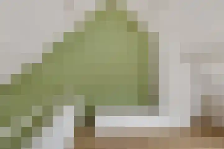 Hoogkamp 70 Eibergen thumbnail 23
