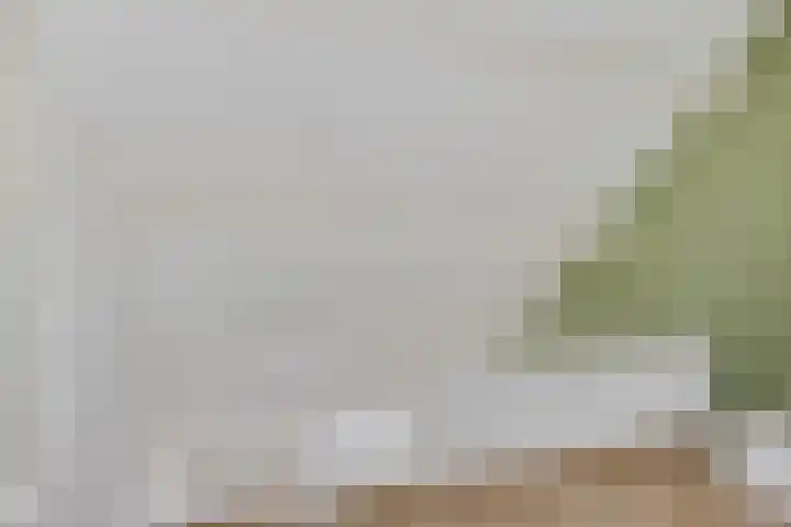 Hoogkamp 70 Eibergen thumbnail 27