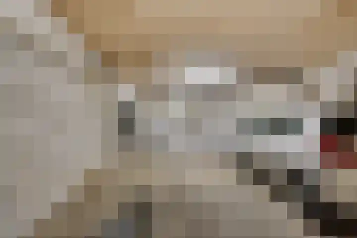 Hoogkamp 70 Eibergen thumbnail 31