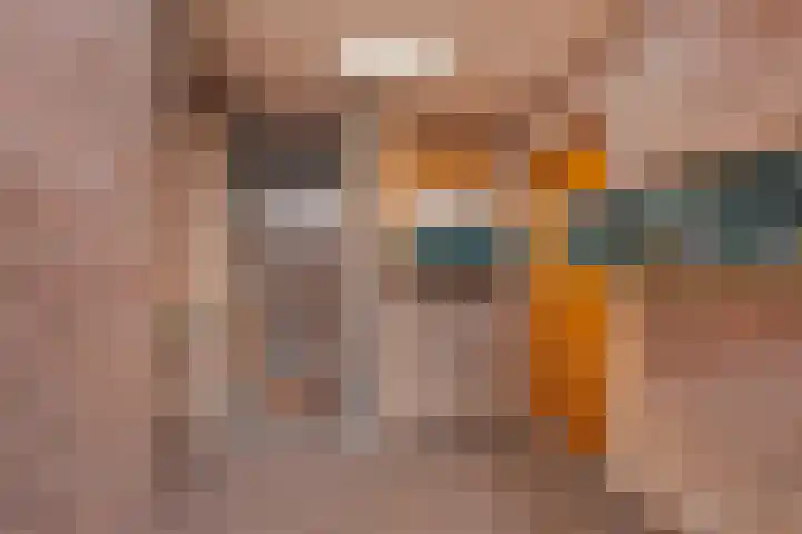 Hoogkamp 70 Eibergen thumbnail 35