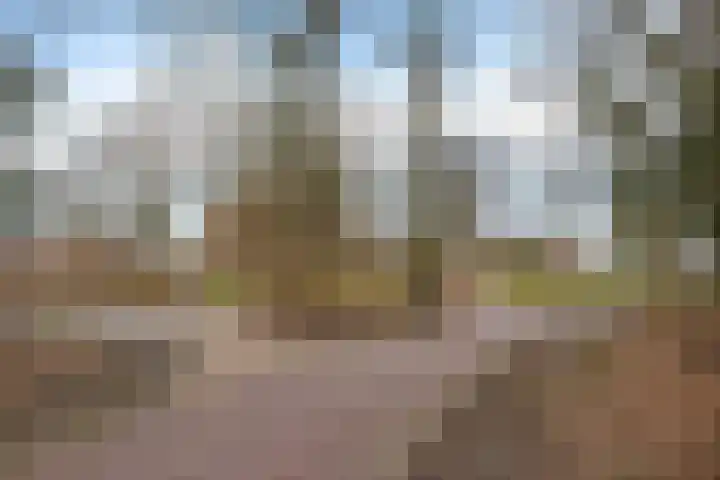 Hoogkamp 70 Eibergen thumbnail 37