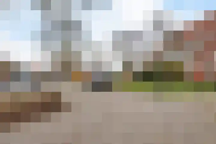 Hoogkamp 70 Eibergen thumbnail 38