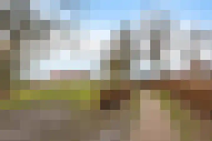 Hoogkamp 70 Eibergen thumbnail 39
