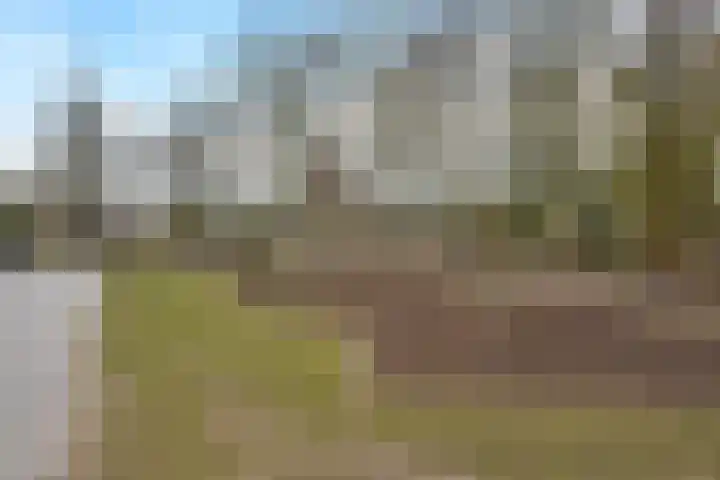 Hoogkamp 70 Eibergen thumbnail 40