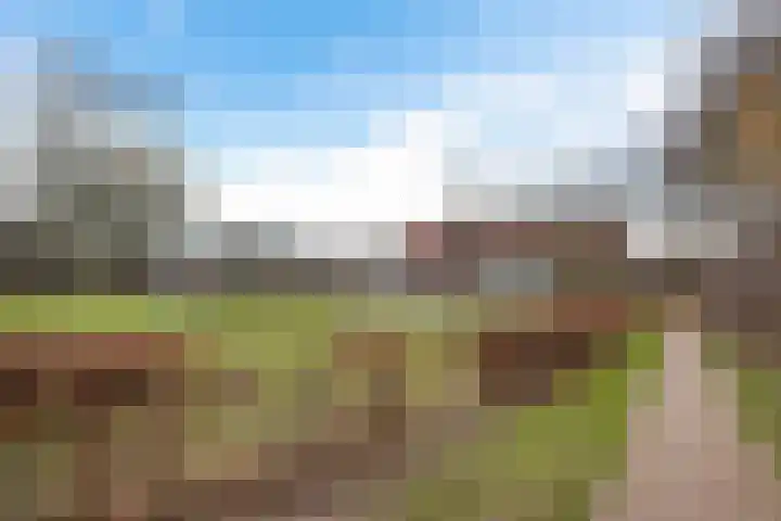 Hoogkamp 70 Eibergen thumbnail 41