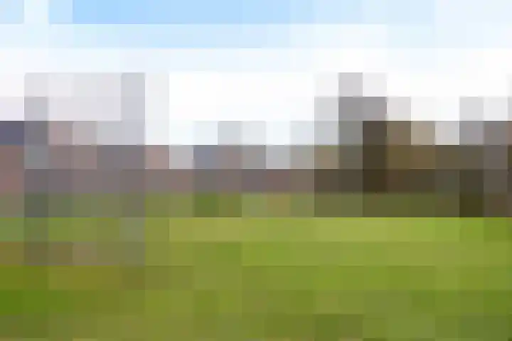 Hoogkamp 70 Eibergen thumbnail 42