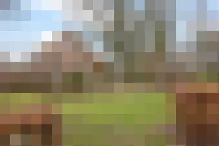 Hoogkamp 70 Eibergen thumbnail 43