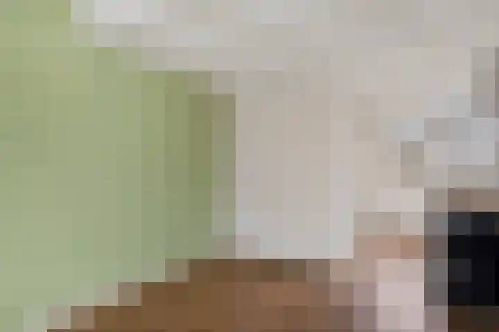 Hoogkamp 70 Eibergen thumbnail 8