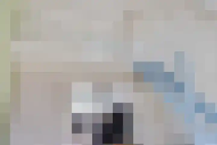 Hoogkamp 70 Eibergen thumbnail 9