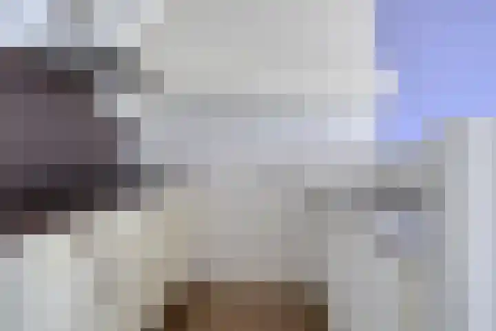 Hoogkamp 74 Eibergen thumbnail 12