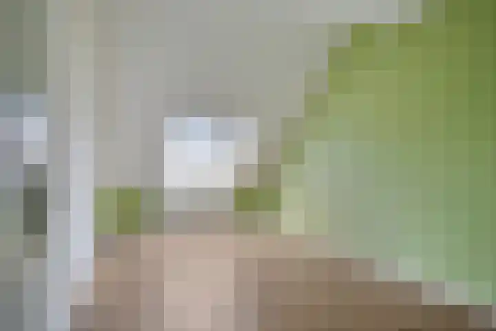 Hoogkamp 74 Eibergen thumbnail 20