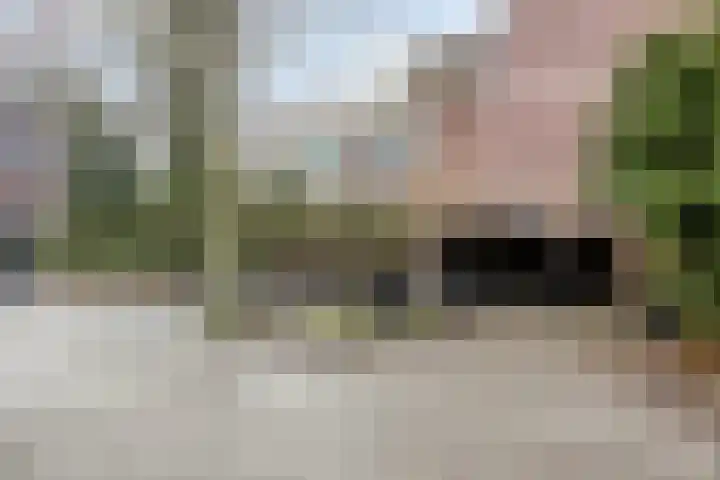 Hoogkamp 74 Eibergen thumbnail 27