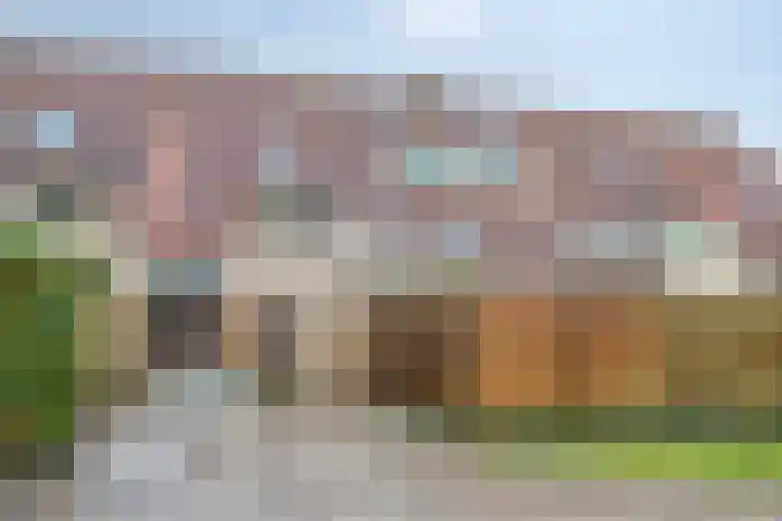 Hoogkamp 74 Eibergen thumbnail 28