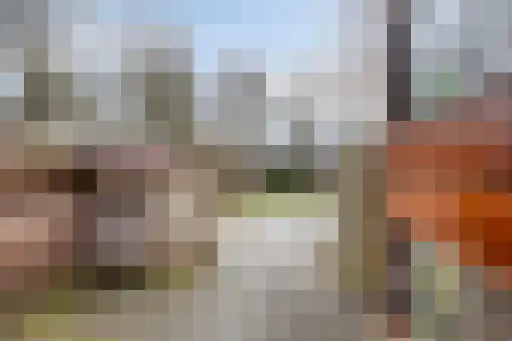 Hoogkamp 74 Eibergen thumbnail 29