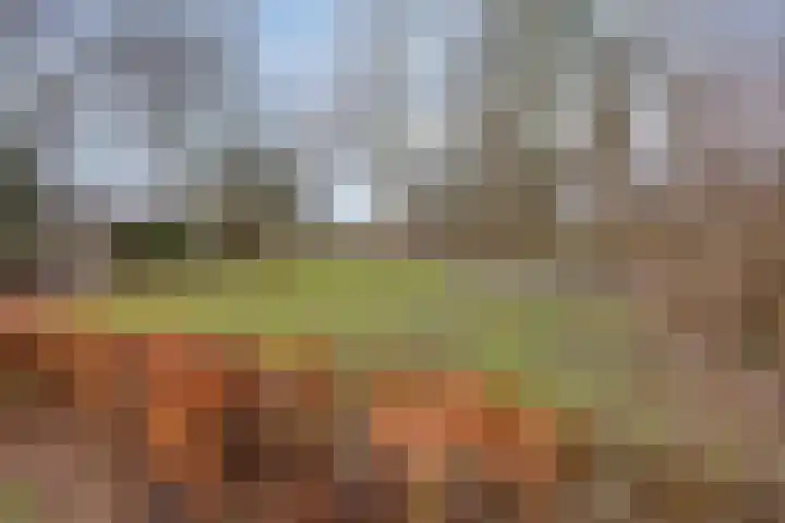 Hoogkamp 74 Eibergen thumbnail 30