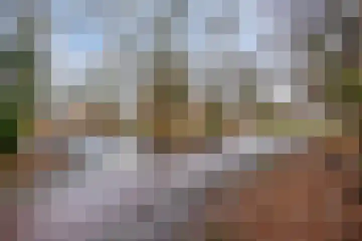 Hoogkamp 74 Eibergen thumbnail 32