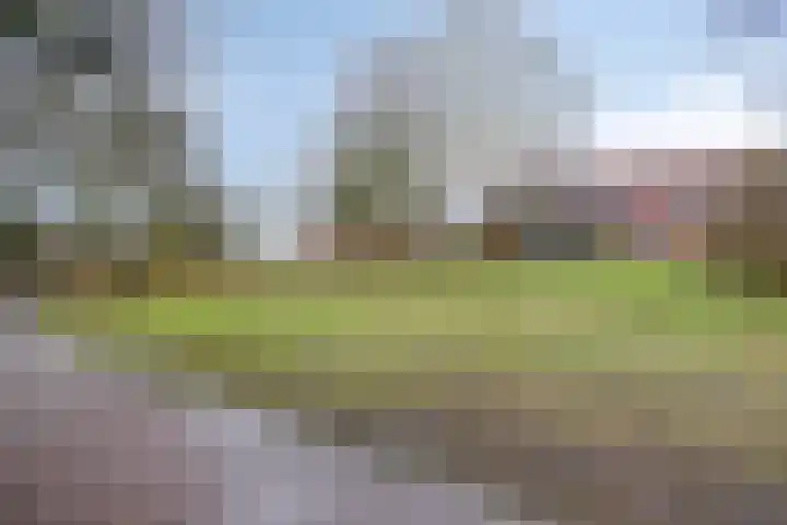 Hoogkamp 74 Eibergen thumbnail 33