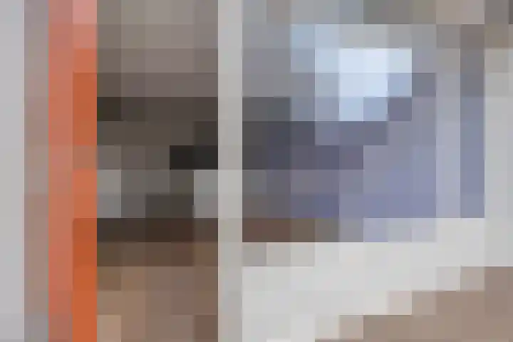 Hoogkamp 74 Eibergen thumbnail 7