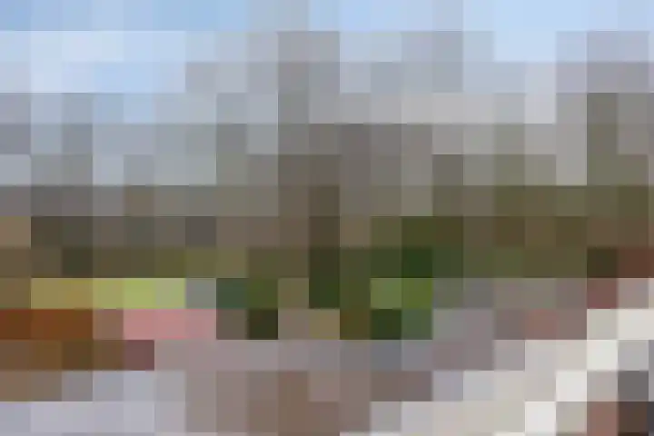 Hoogkamp 74 Eibergen thumbnail 8