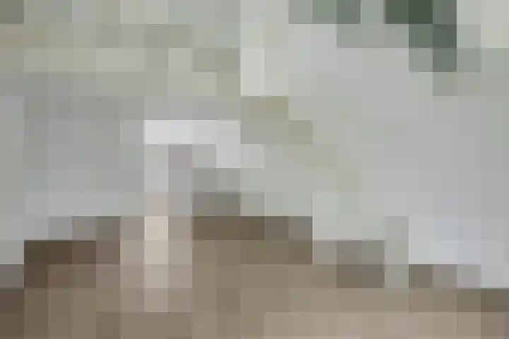 Hoogkamp 75 Eibergen thumbnail 10