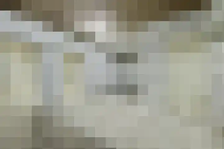 Hoogkamp 75 Eibergen thumbnail 22