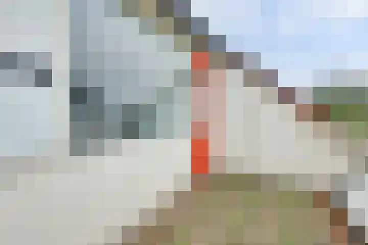 Hoogkamp 75 Eibergen thumbnail 24