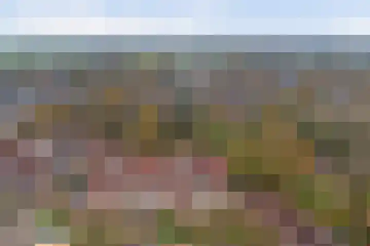 Hoogkamp 75 Eibergen thumbnail 28