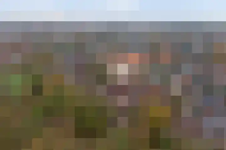 Hoogkamp 75 Eibergen thumbnail 29