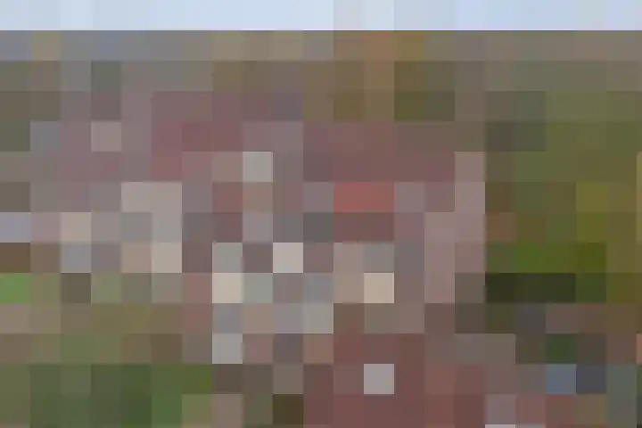 Hoogkamp 75 Eibergen thumbnail 30