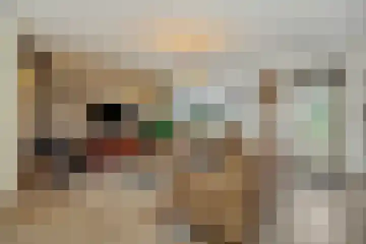 Hoogkamp 75 Eibergen thumbnail 36
