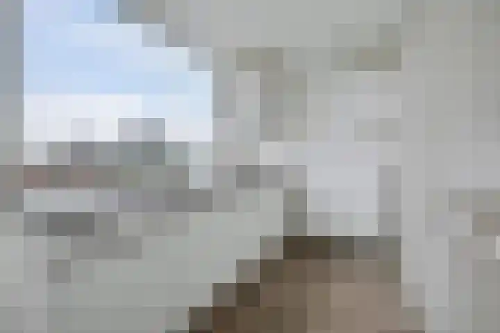 Hoogkamp 75 Eibergen thumbnail 4