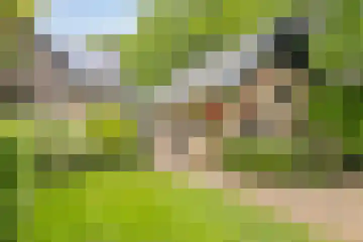 Hoogkamp 75 Eibergen thumbnail 6