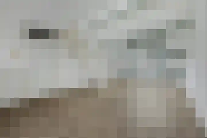 Hoogkamp 75 Eibergen thumbnail 9