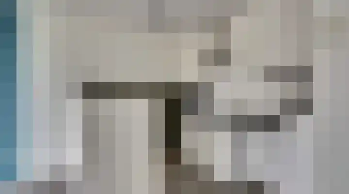 Hoogkamp 82 Eibergen thumbnail 13