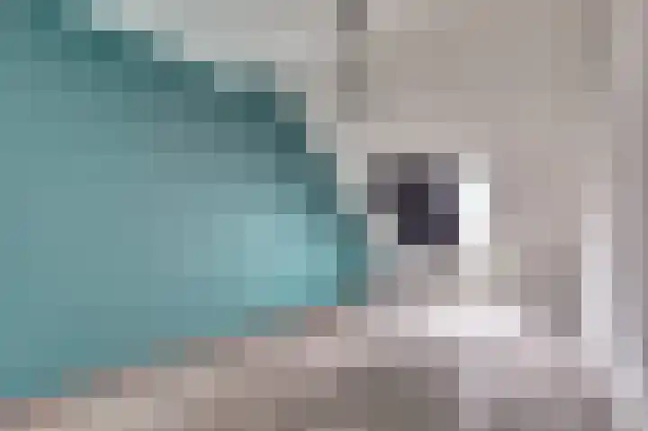 Hoogkamp 82 Eibergen thumbnail 17