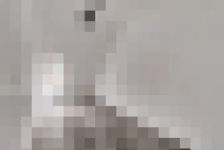 Hoogkamp 82 Eibergen thumbnail 19