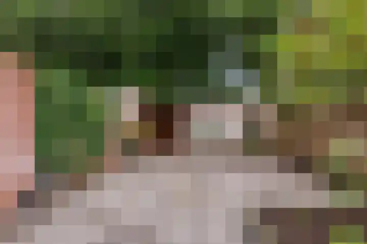 Hoogkamp 99 Eibergen thumbnail 32