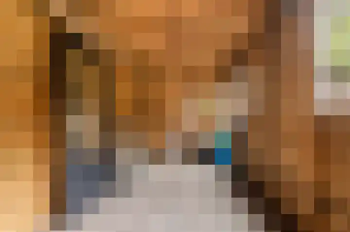 Hoogkamp 99 Eibergen thumbnail 34