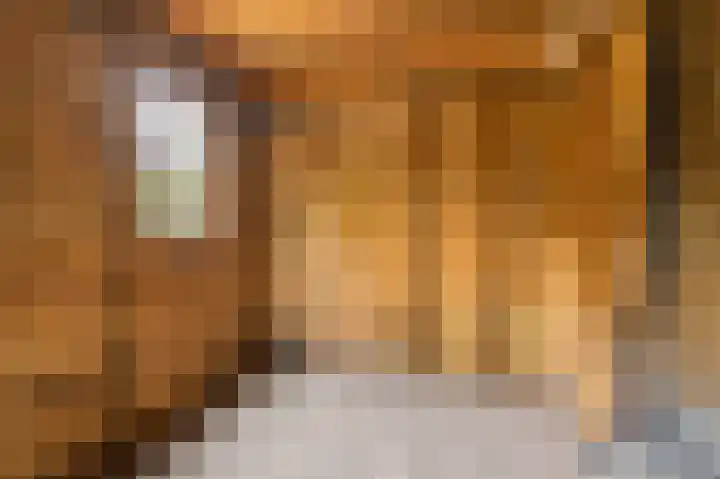Hoogkamp 99 Eibergen thumbnail 35