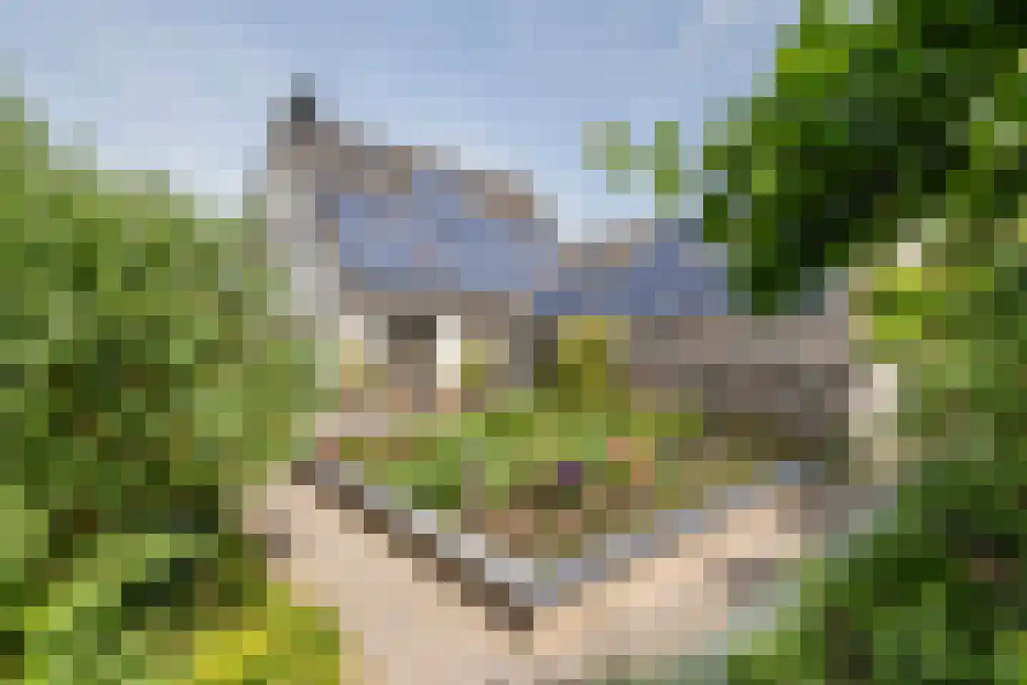 Hoogkana 28 Ingen thumbnail 10