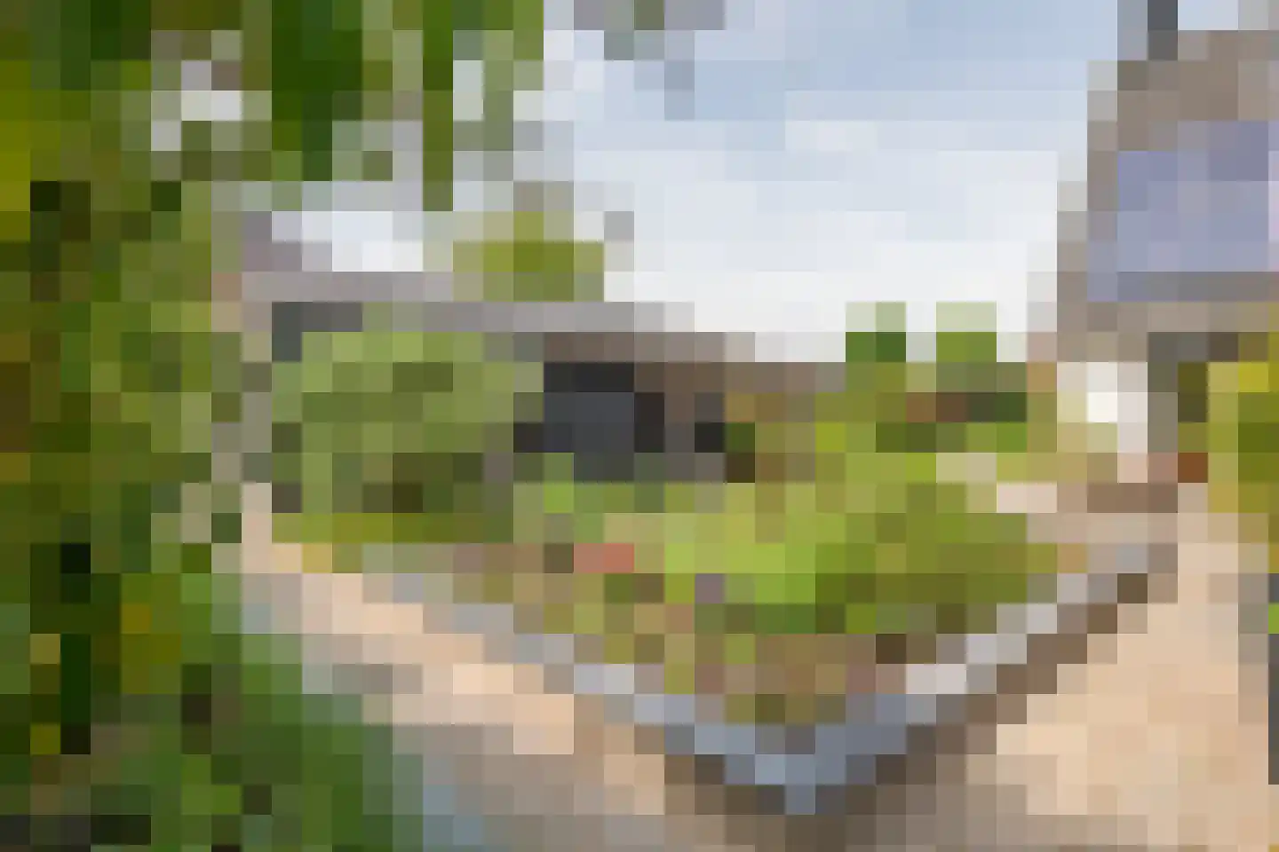 Hoogkana 28 Ingen thumbnail 11