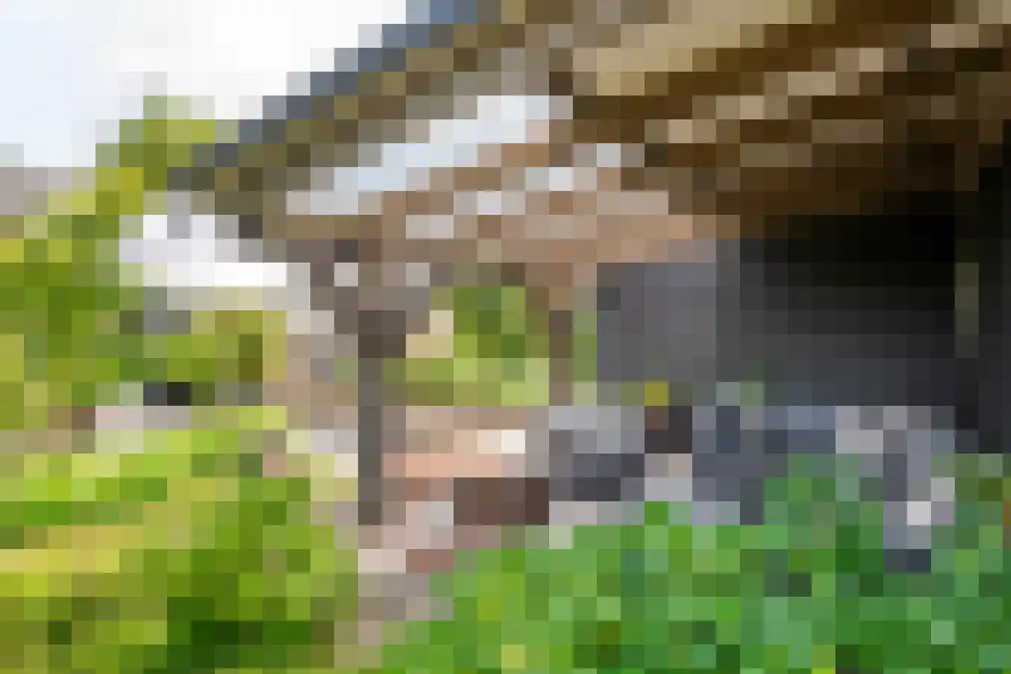Hoogkana 28 Ingen thumbnail 14